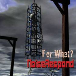 Noiserespond : For What?